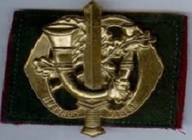 Regiment Limburgse Jagers